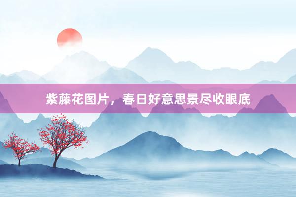 紫藤花图片，春日好意思景尽收眼底